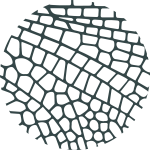 Cercle_Dark_Facade Cercle_Dark_Facade
