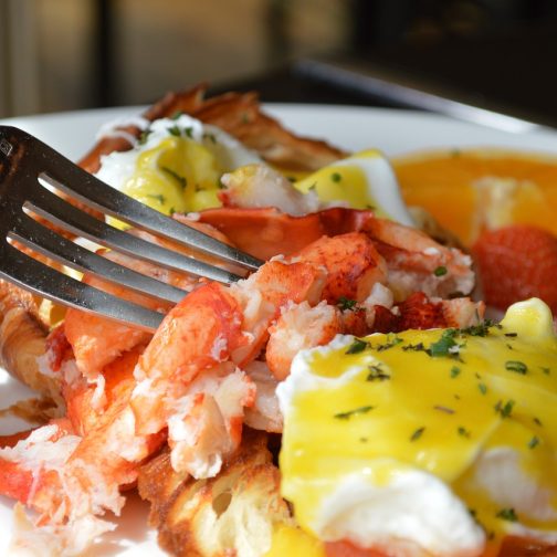 lobster, brunch, benedict-1615616.jpg